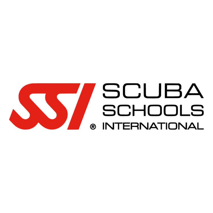 SSI logo