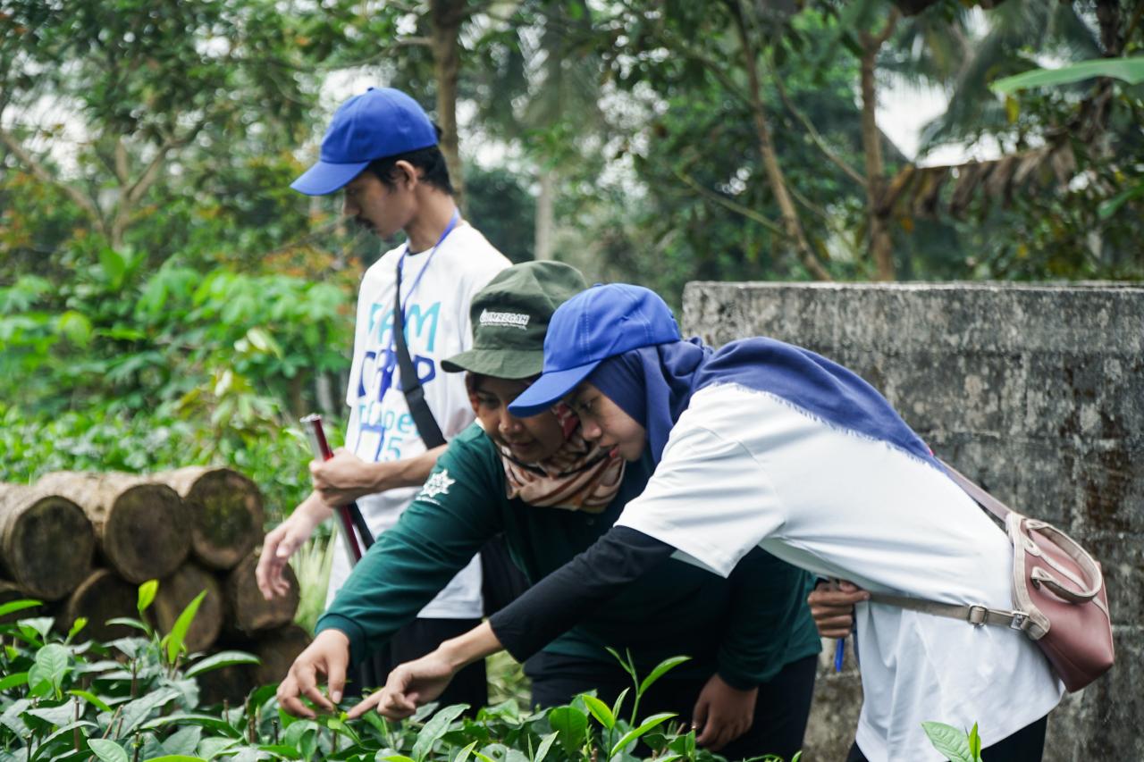 From Leaf to Cup — Inside Traditional Tea Making